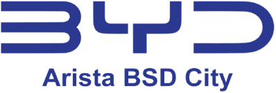 BYD Arista BSD